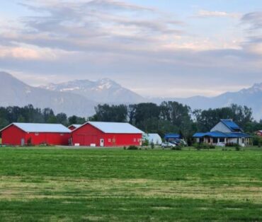 A serene farm in Agassiz, BC with red barns and mountain backdrop under a blue sky.