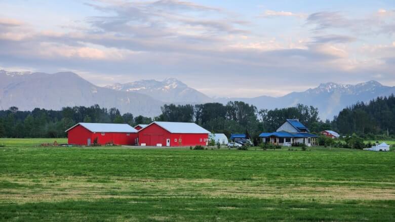 A serene farm in Agassiz, BC with red barns and mountain backdrop under a blue sky.