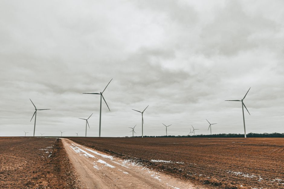 Expansive field showcasing towering wind turbines under an overcast sky.